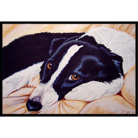Carolines Treasures Naptime Border Collie Indoor or Outdoor Mat- 18 x 27 AMB1080MAT